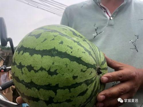 吃瓜现场第一位网红是谁,揭秘第一位网红的诞生之谜  第1张