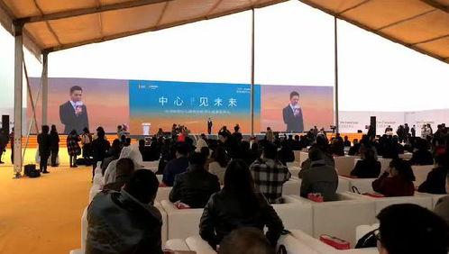 阜阳爆料临泉新闻视频,揭秘最新爆料视频背后的真相  第1张